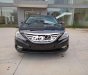 Hyundai Sonata 2010 - Bán Hyundai Sonata đời 2010, màu đen, nhập khẩu, giá tốt