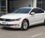 Volkswagen Passat 2017 - Bán Volkswagen Passat đời 2017, màu trắng, nhập khẩu nguyên chiếc