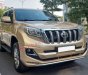 Toyota Prado   TXL 2.7L   2012 - Bán Toyota Prado TXL 2.7L sản xuất năm 2012, màu vàng, nhập khẩu