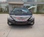 Hyundai Sonata   2.0 AT  2010 - Bán xe Hyundai Sonata 2.0 AT năm sản xuất 2010, màu đen, nhập khẩu