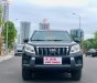 Toyota Prado   2.7TXL   2009 - Bán Toyota Prado 2.7TXL năm 2009, màu đen, nhập khẩu nguyên chiếc  