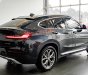 BMW X4   X-Line 2019 - Bán BMW X4 X-Line 2019, màu xám, nhập khẩu