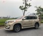 Toyota Prado   2013 - Cần bán lại xe Toyota Prado đời 2013, màu vàng, nhập khẩu còn mới