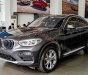 BMW X4   2019 - Bán xe BMW X4 đời 2019, màu xám, nhập khẩu nguyên chiếc