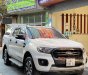 Ford Ranger   Wildtrak 2.0 AT 4x4  2019 - Cần bán lại xe Ford Ranger Wildtrak 2.0 AT 4x4 năm sản xuất 2019, màu trắng, nhập khẩu, giá tốt