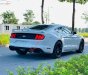 Ford Mustang Premium Fastback   2019 - Cần bán Ford Mustang Premium Fastback đời 2019, màu trắng, nhập khẩu