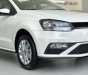 Volkswagen Polo 2021 - Bán ô tô Volkswagen Polo 2021, màu trắng, nhập khẩu nguyên chiếc