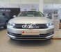 Volkswagen Passat 2018 - Cần bán xe Volkswagen Passat đời 2018, màu bạc, nhập khẩu