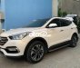 Hyundai Santa Fe 4WD 2016 - Bán Hyundai Santa Fe 4WD năm 2016, màu trắng, 810tr