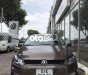 Volkswagen Polo 1.6 2021 - Cần bán Volkswagen Polo 1.6 đời 2021, màu nâu, nhập khẩu số tự động