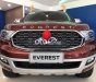 Ford Everest   AT 2021 - Cần bán xe Ford Everest AT năm 2021, màu đỏ, nhập khẩu nguyên chiếc