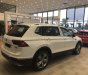 Volkswagen Tiguan 2021 - [Hot] Volkswagen Tiguan 2.0 đủ màu giao ngay