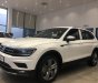 Volkswagen Tiguan 2021 - [Hot] Volkswagen Tiguan 2.0 đủ màu giao ngay