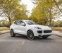 Porsche Cayenne 2017 - Cần bán Porsche Cayenne Platinum năm 2017 giá 4 tỷ 350tr