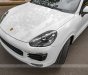 Porsche Cayenne 2017 - Cần bán Porsche Cayenne Platinum năm 2017 giá 4 tỷ 350tr