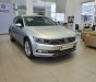 Volkswagen Passat AT 2020 - Volkswagen Passat AT - Sẵn xe giao ngay kèm ưu đãi hấp dẫn trong tháng