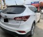 Hyundai Santa Fe 4WD 2017 - Bán ô tô Hyundai Santa Fe 4WD năm 2017, màu trắng, 820tr