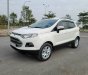 Ford EcoSport 2015 - Bán Ford EcoSport Ambiente 1.5L MT sản xuất năm 2015, 350 triệu