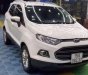 Ford EcoSport Titanium 2014 - Bán Ford EcoSport Titanium sản xuất năm 2014, màu trắng