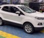 Ford EcoSport Titanium 2014 - Bán Ford EcoSport Titanium sản xuất năm 2014, màu trắng