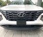 Hyundai Tucson 2022 - Bán Hyundai Tucson  2022, nâng cấp đột phá, giảm 50% thuế trước bạ, hỗ trợ vay 85% giá trị xe, xử lý hồ sơ xấu