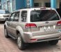 Ford Escape   XLT 2008 - Cần bán lại xe Ford Escape XLT sản xuất 2008, màu ghi vàng