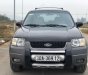 Ford Escape 2002 - Cần bán Ford Escape 3.0 AT năm 2002, màu xám, xe cực chất tư nhân sử dụng