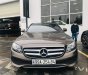 Mercedes-Benz E250 2017 - Bán Mercedes E250 sản xuất 2017, màu nâu