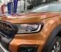 Ford Ranger 2019 - Bán ô tô Ford Ranger sản xuất 2019, nhập khẩu nguyên chiếc