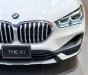 BMW X1 sDrive18i 2021 - Bán BMW X1 sDrive18i sản xuất năm 2021, màu trắng, xe nhập