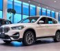 BMW X1 sDrive18i 2021 - Bán BMW X1 sDrive18i sản xuất năm 2021, màu trắng, xe nhập