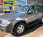 Ford Escape 2002 - Cần bán xe Ford Escape 3.0 năm 2002, màu xám