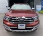 Ford Everest 2020 - Bán ô tô Ford Everest Titanium 2.0AT 4x2 năm 2020, nhập khẩu số tự động