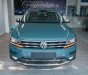 Volkswagen Tiguan 2022 - [Volkswagen Trường Chinh] báo giá xe Tiguan Elegance 2022 hôm nay hãng tung KM đặt biệt tặng hỗ trợ mùa dịch + Phụ kiện