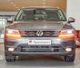 Volkswagen Tiguan 2022 - [Volkswagen Quận 7] bán Tiguan xe Đức nhập - Giảm tiền mặt tặng phụ kiện - Trả góp 20 triệu/tháng, trả trước 578.7 triệu