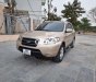 Hyundai Santa Fe 2008 - Cần bán Hyundai Santa Fe Gold năm 2008, giá 300tr