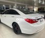 Hyundai Sonata   2010 - Cần bán xe Hyundai Sonata năm 2010, màu trắng