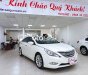 Hyundai Sonata 2011 - Bán Hyundai Sonata 2.0L 6AT năm sản xuất 2011 giá cạnh tranh