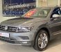 Volkswagen Tiguan 2022 - Giá xe Tiguan Elegance 2022  màu xám Platium độc lạ - Giá tốt nhất miền Nam