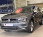 Volkswagen Tiguan 2022 - Giá xe Tiguan Elegance 2022  màu xám Platium độc lạ - Giá tốt nhất miền Nam