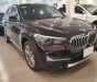 BMW X1 2021 - Bán xe BMW X1 sDrive18i năm sản xuất 2021, màu nâu, nhập khẩu