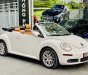 Volkswagen Beetle 2005 - Bán Volkswagen Beetle 2.5L sản xuất 2005, màu trắng, xe nhập số tự động