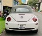 Volkswagen Beetle 2005 - Bán Volkswagen Beetle 2.5L sản xuất 2005, màu trắng, xe nhập số tự động