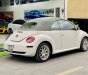 Volkswagen Beetle 2005 - Bán Volkswagen Beetle 2.5L sản xuất 2005, màu trắng, xe nhập số tự động