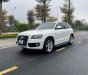 Audi Q5 2010 - Bán Audi Q5 sản xuất 2010, màu trắng, xe nhập