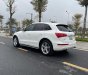 Audi Q5 2010 - Bán Audi Q5 sản xuất 2010, màu trắng, xe nhập