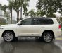 Toyota Land Cruiser 2020 - Bán xe Toyota Land Cruiser 4.6 VX sản xuất 2020, màu trắng, nhập khẩu