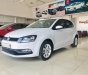 Volkswagen Polo 2017 - Bán Volkswagen Polo năm 2017 một chủ - cam kết bảo hành