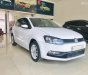Volkswagen Polo 2017 - Bán Volkswagen Polo năm 2017 một chủ - cam kết bảo hành