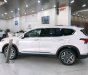 Hyundai Santa Fe Premium 2022 - Hyundai SantaFe 2022 - Giảm nóng 50% TTB - Giá tốt nhất toàn hệ thống